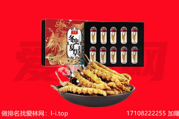 宽城区回收虫草.jpg